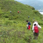 IMG-20190623-WA0007