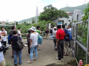 DSC07119