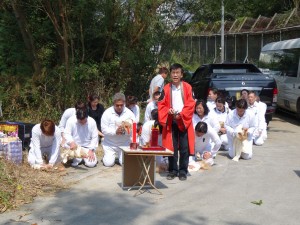 DSC00503