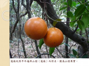 新書發佈會_頁面_09