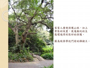 新書發佈會_頁面_10