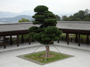 DSC02279