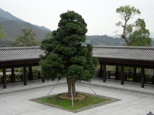 DSC02283