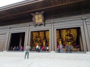 DSC02317