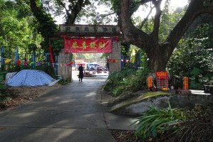 DSC09696