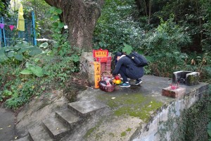 DSC09715