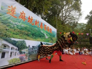 IMG-20170205-WA0022