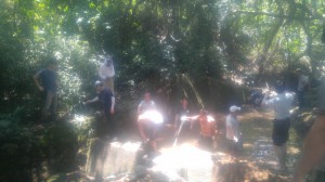 IMG-20170528-WA0001