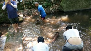 IMG-20170528-WA0007
